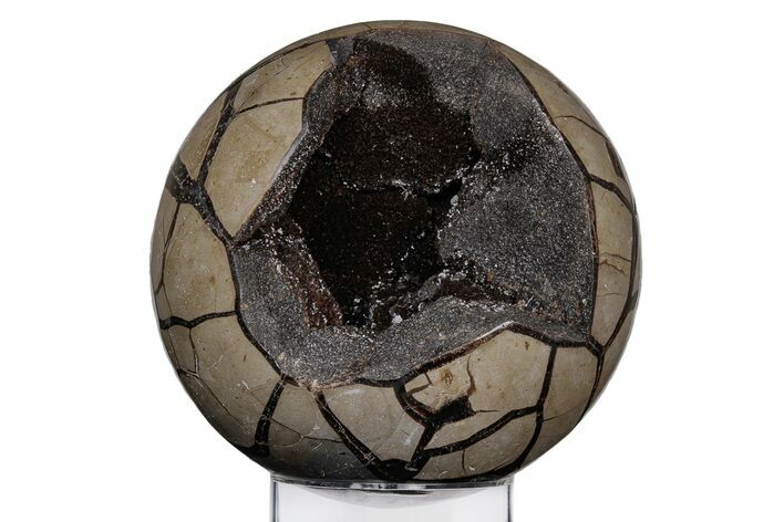 Polished, Septarian Geode Sphere - Madagascar #219109